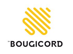 BOUGICORD-EFI 60010 - ELECTROVALVULA