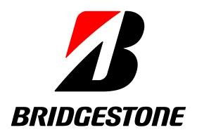 NEUMATICOS VARIOS  BRIDGESTONE